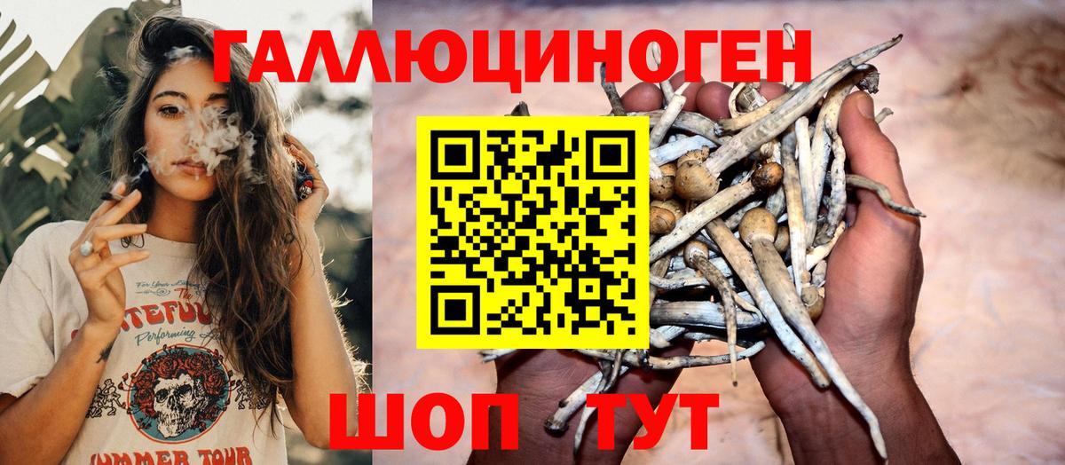 Галлюциногенные грибы прущие грибы  Вход с VPN  Аша 